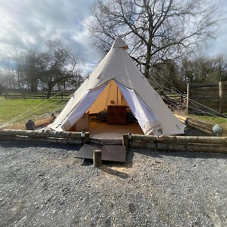 Chalet Au Coeur De La Nature Le Grand-Lucé المظهر الخارجي الصورة